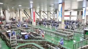 山西唯一！2023年消费品工业“三品”战略示范城市汾阳入选