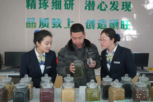 聚焦“三农”沃土 助力乡村振兴