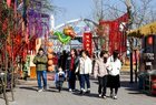 春节期间，山西大同A级景区累计接待游客115.07万人次