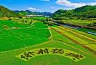山西940名“头雁”领飞乡村振兴