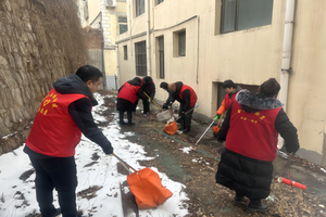 人大代表学雷锋 志愿服务当先锋