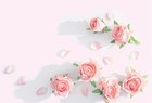 稷山农商银行组织开展“幸福人生 从心开始” 心理健康知识讲座