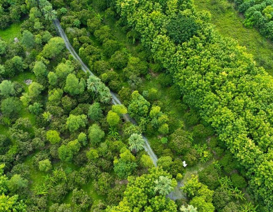 我省人工造林规模连续三年全国第一 - 山西科技报新闻网