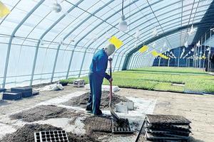 苗还未育出 订单已到手——平定县健隆种植专业合作社育苗基地