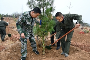 盂县北下庄乡开展春季义务植树活动