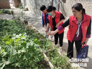 春季禁种铲毒 遏制毒株种植