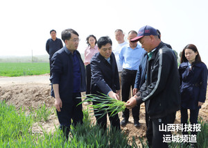 河津：李昭阳调研小梁乡“千万工程”建设情况