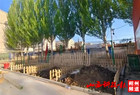 朔城区第三中学劳动教育实践基地“躬耕园”揭牌启动暨2024开耕仪式