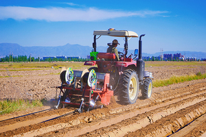 朔州市山阴县北周庄镇:大葱种植拓宽致富路