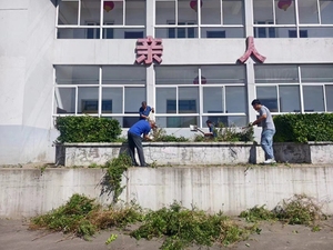 清理枯树杂草 营造清新环境