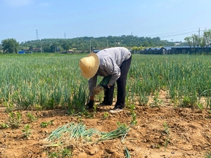 盂县拦掌：种养殖业“多点开花”