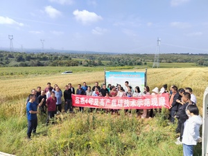 农科专家传良方 技术培训助发展