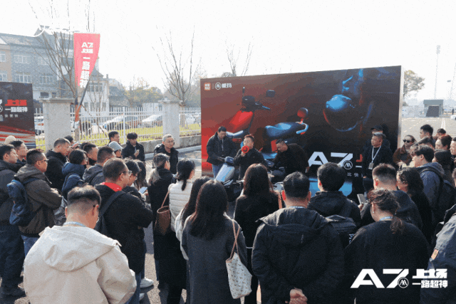 图片11.gif