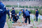 上社公司：植树添新绿 增添幸福色