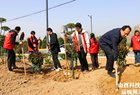 夏县:义务植树添新绿