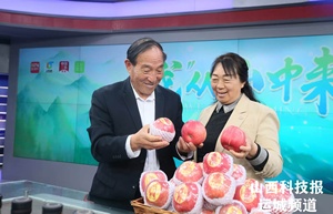 "苹果大王"王万保央视助农直播 万保苹果香飘四海书写乡村振兴新答卷  