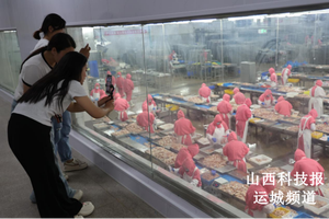 永济市零工市场进企直播：“云端探岗”“场景化招聘”让岗位“触屏可及”