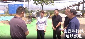 王润在稷山经济技术开发区西社园区调研重点项目建设情况