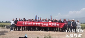 新绛县科协举办小麦良种高产现场观摩活动
