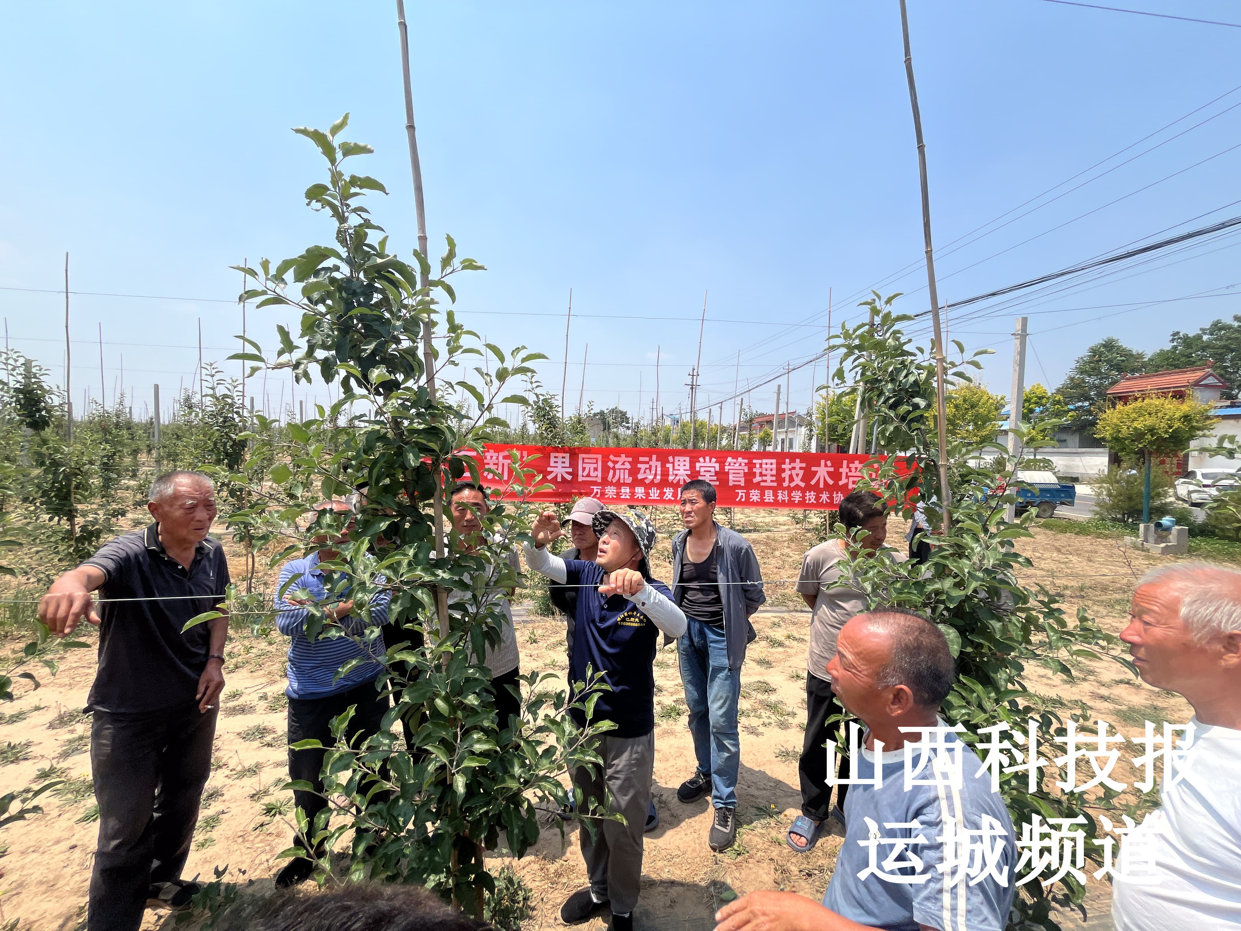 万荣县科协送技术下乡 助力“三新”果园夏季管理