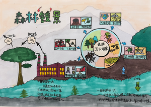 全国科技小记者科普创作大赛（2024年） 绘画作品选登---山西赛区