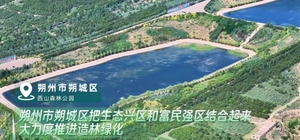 朔州市 大地焕新 50万亩“沙洲”变森林