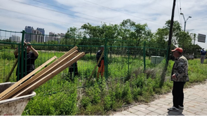 大同市平城区 多举措推进环保工作 共筑绿色美好家园