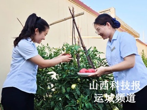 “小而美”暖在心 | 稷山农商银行：小菜园“耕”出大天地 “五小”赋能新活力