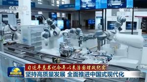 【习近平总书记今年以来治国理政纪实】