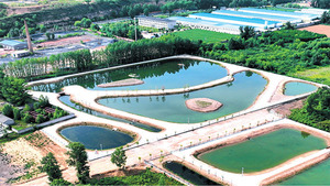 静乐：人工湿地“滤”清波