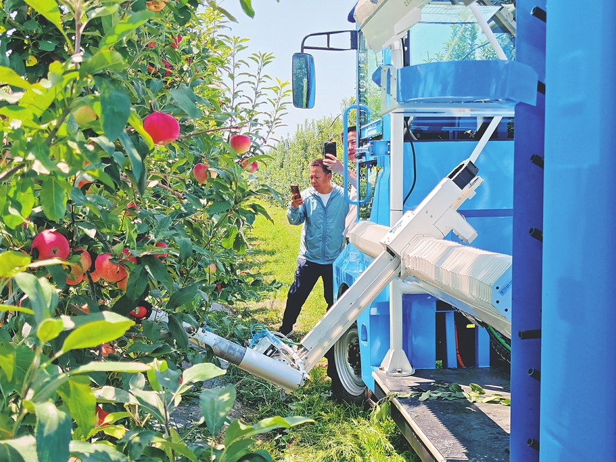 苹果采摘机器人在万荣进行首次采摘试验
