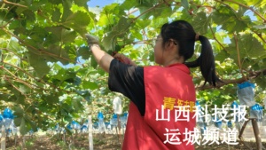 怀理想深潜 秉信念行远
