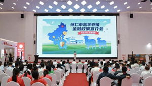 2025年山西·怀仁羔羊肉交易大会“链”接就业新机遇