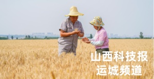 以信立身 以诚筑梦