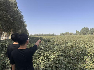 水利与建筑工程学院开展 “盐碱地与灌溉优化调研” 活动