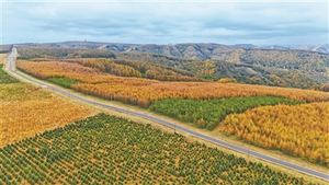 精准管护 绿色蝶变