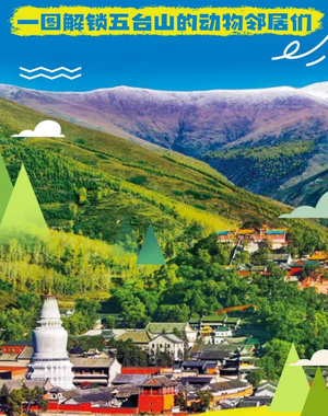 五台山有群可爱的 “动物邻居”,邀请同学们一起解锁