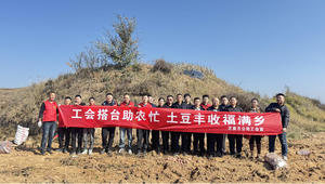 山西路桥建设集团娄方高速公路有限公司工会组织开展“工会搭台助农忙 土豆丰收福满乡” 助农主题活动