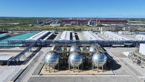 全球首张！我国项目获颁“非生物来源可再生燃料氨”国际认证