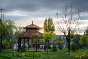 产业兴、生态美、民生暖！大同市平城区金家湾村交出乡村振兴亮眼答卷