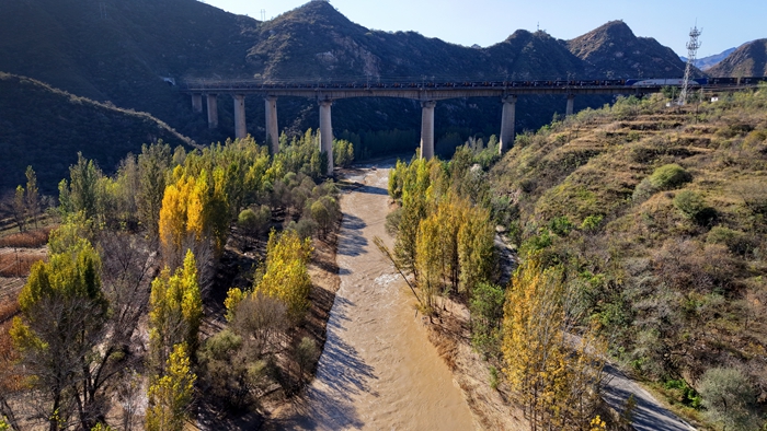 渠水润乡柿满枝 盂县梁家寨乡绘就乡村振兴新图景