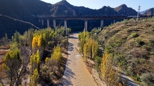 渠水润乡柿满枝 盂县梁家寨乡绘就乡村振兴新图景