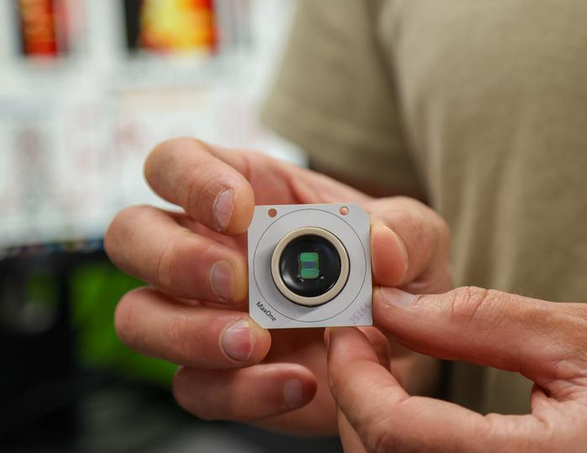 解开思维何时开始形成之谜 类器官研究揭示大脑天生预置“操作系统”