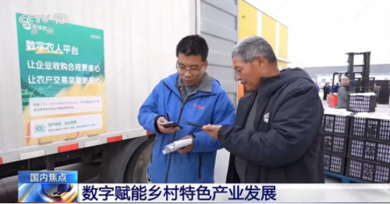 数字农人助力平陆苹果,打造高效透明交易新链路