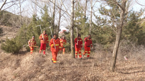 平鲁区下水头乡:全方位织密森林防火安全网