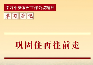 学习手记丨巩固住再往前走
