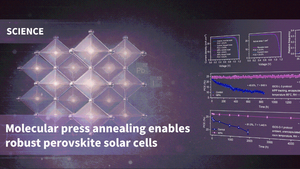 钙钛矿太阳能电池稳定性难题破解  厦大成果亮相《科学》