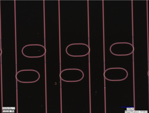 “跑道型”微谐振器大幅降低光损耗