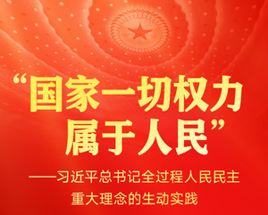 习近平总书记全过程人民民主重大理念的生动实践
