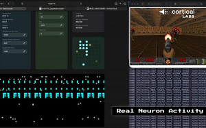 迈向混合智能系统的关键一步&mdash;&mdash;&ldquo;人脑芯片&rdquo;一周学会复杂电脑游戏